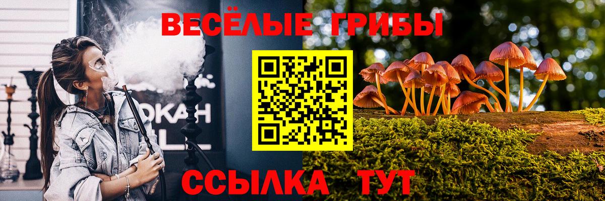 Галлюциногенные грибы Magic Shrooms  Вход с VPN  Карачаевск  Галлюциногенные грибы мицелий 